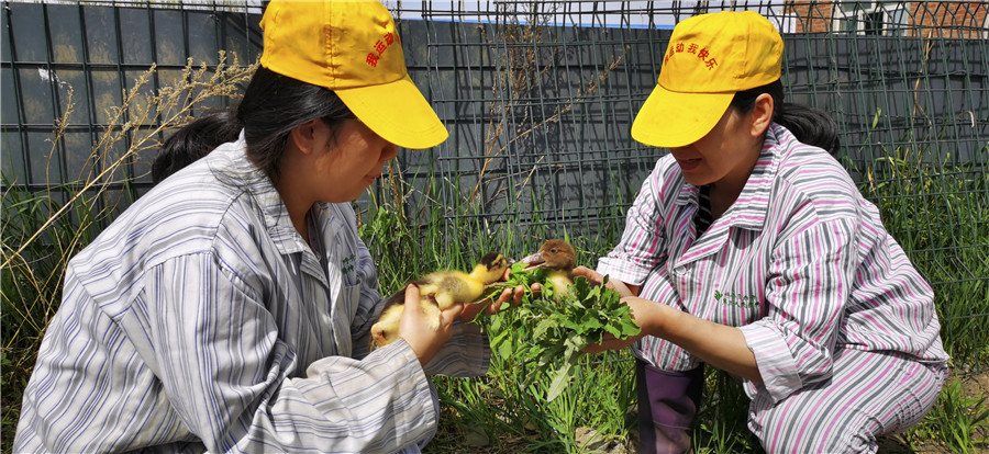 微信图片_20200717095857.jpg 微信图片_20200717095857.jpg