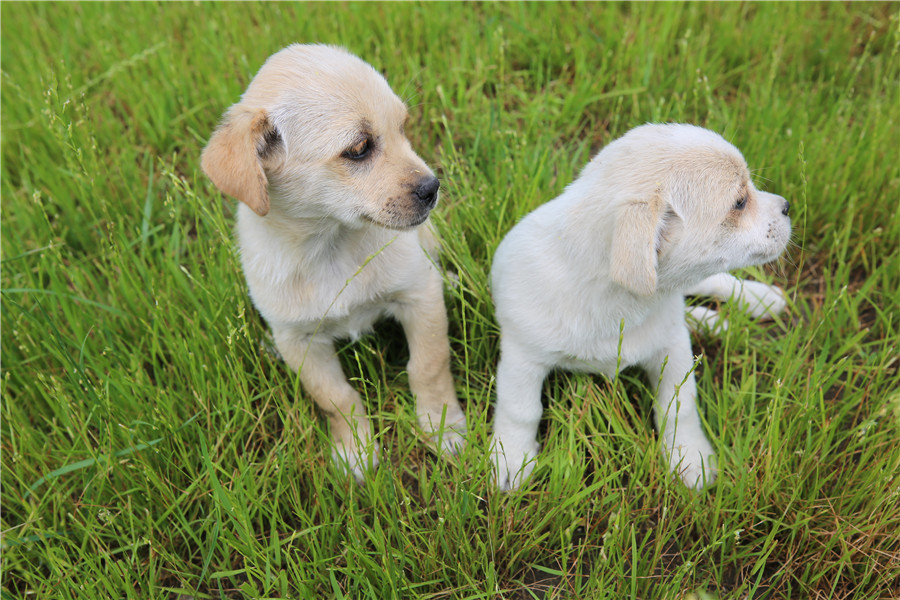 DC4A4556.JPG DC4A4556.JPG