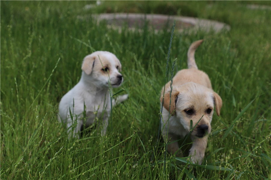 IMG_1086.JPG IMG_1086.JPG