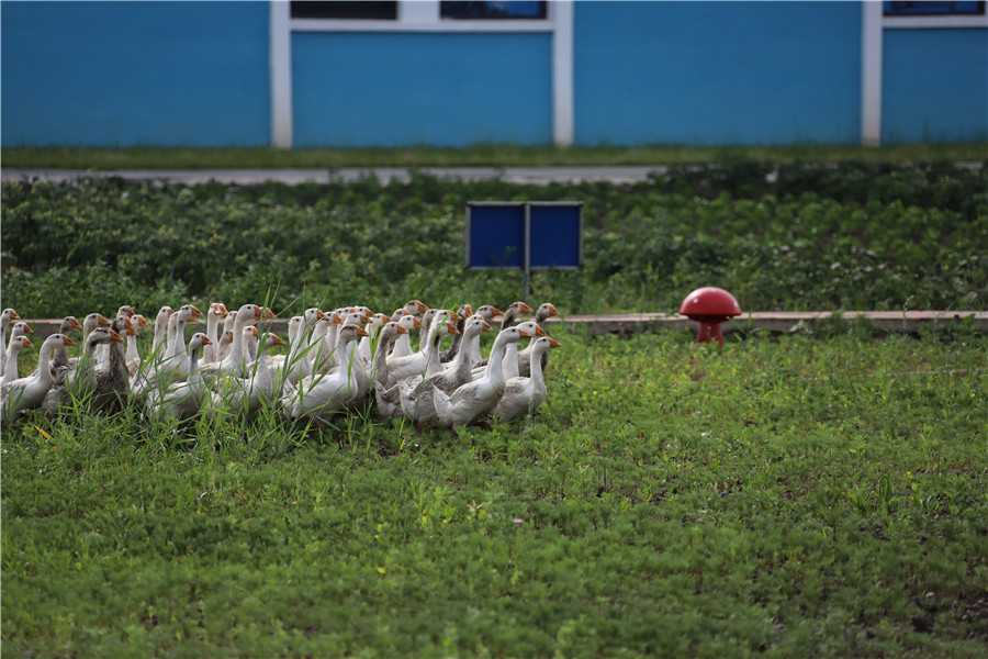 IMG_0766.JPG IMG_0766.JPG