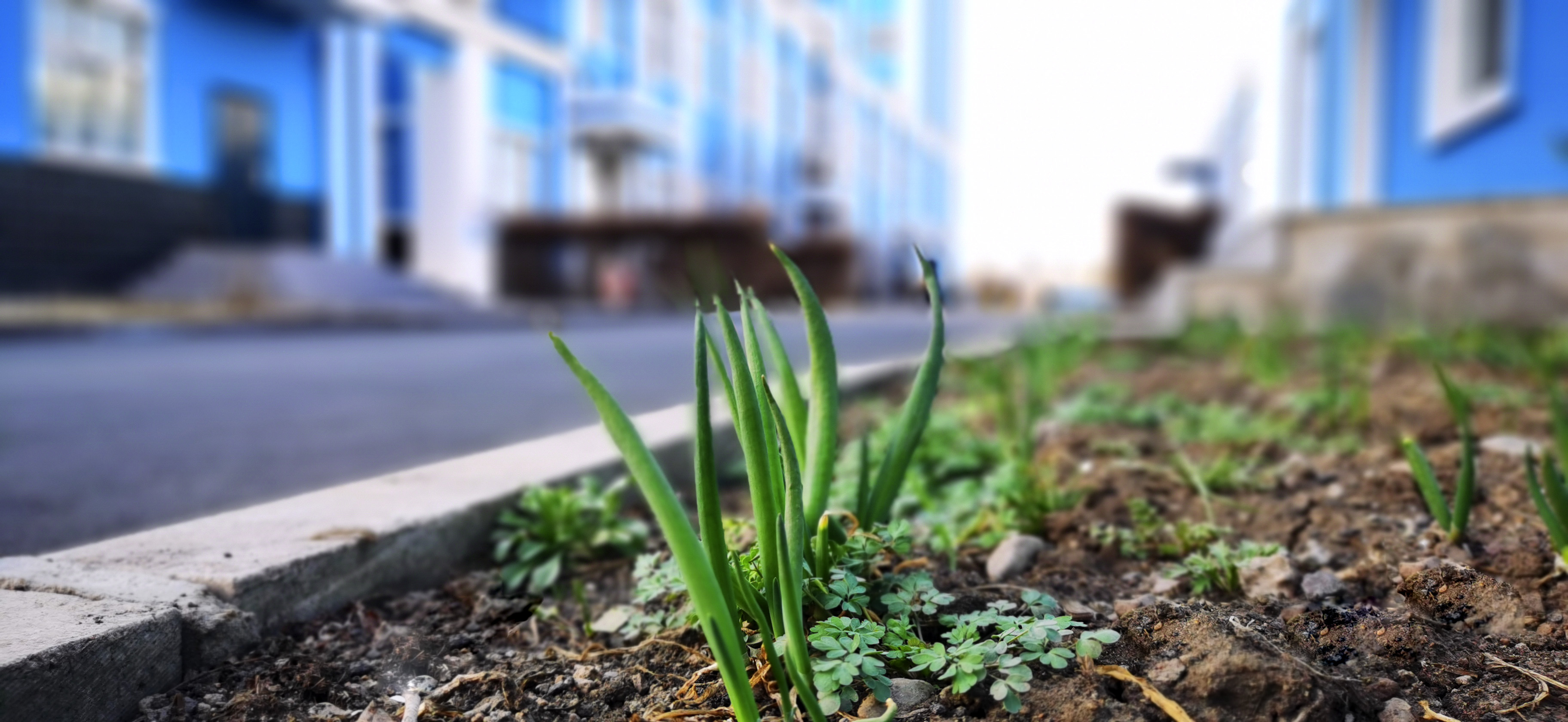 QQ图片20210423131021.jpg QQ图片20210423131021.jpg