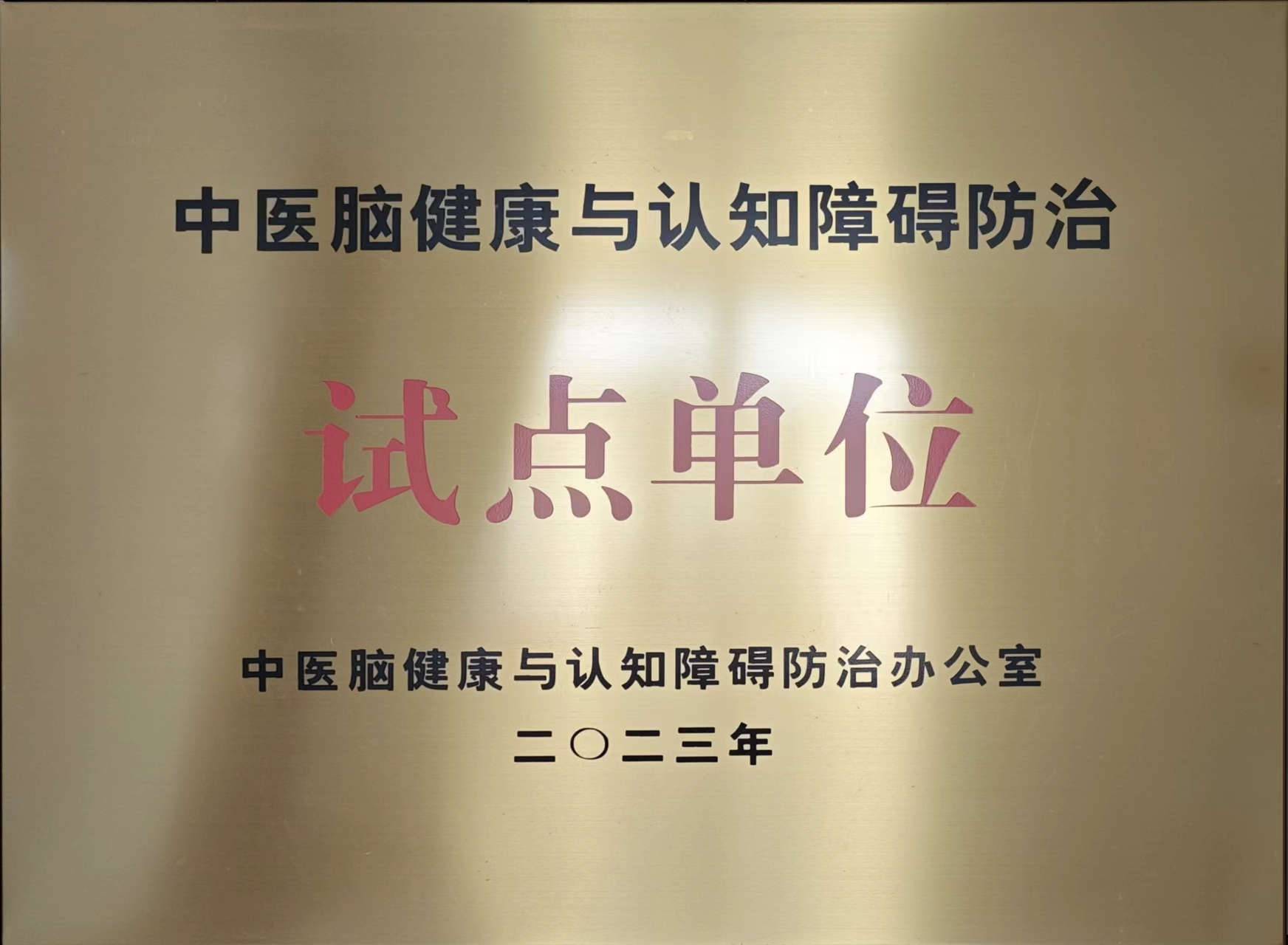 中医脑健康.jpg